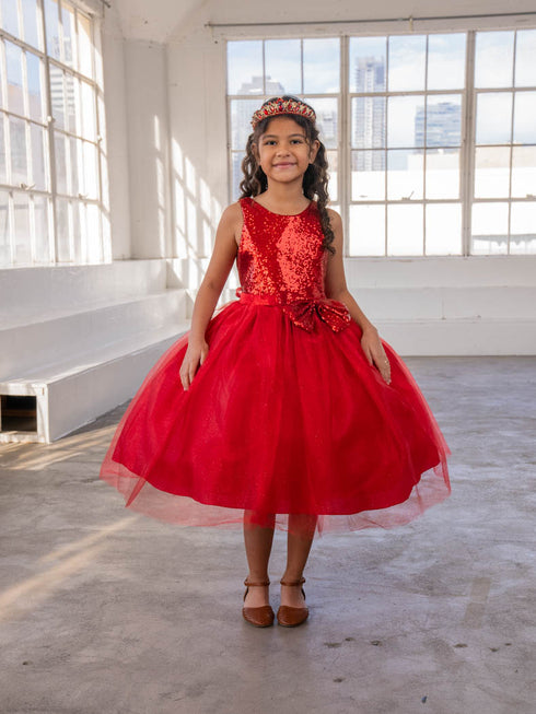 Girls A-Line Sequin Top Bow Waist V Back Tulle Flower Girl Dress 2-16